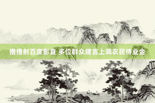 撸撸射百度影音 多位群众建言上调农民待业金