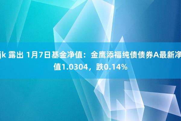 jk 露出 1月7日基金净值：金鹰添福纯债债券A最新净值1.0304，跌0.14%