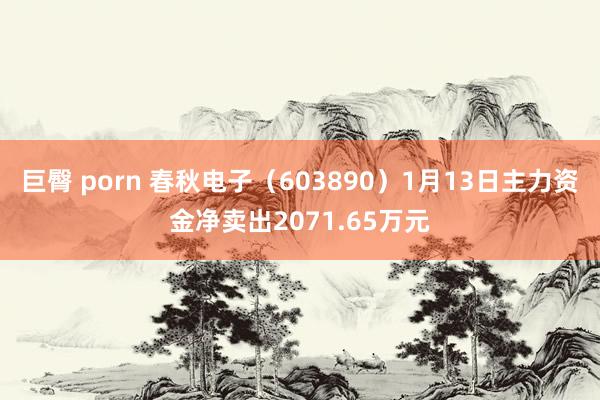 巨臀 porn 春秋电子（603890）1月13日主力资金净卖出2071.65万元