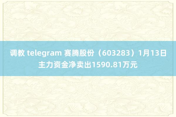 调教 telegram 赛腾股份（603283）1月13日主力资金净卖出1590.81万元