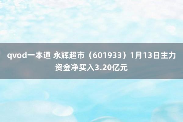 qvod一本道 永辉超市（601933）1月13日主力资金净买入3.20亿元