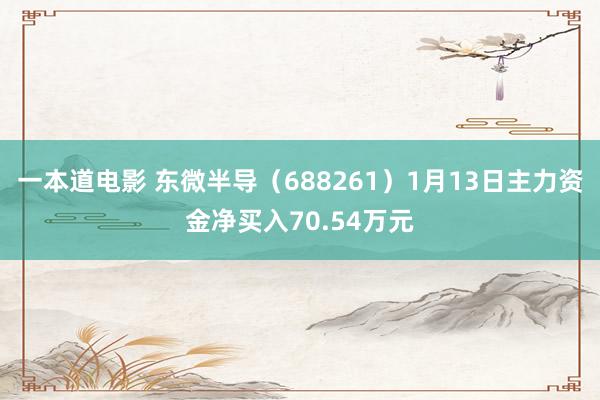 一本道电影 东微半导（688261）1月13日主力资金净买入70.54万元