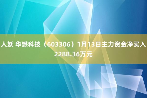人妖 华懋科技（603306）1月13日主力资金净买入2288.36万元