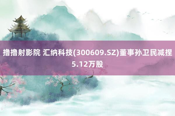 撸撸射影院 汇纳科技(300609.SZ)董事孙卫民减捏5.12万股