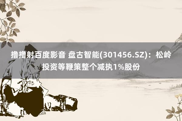 撸撸射百度影音 盘古智能(301456.SZ)：松岭投资等鞭策整个减执1%股份