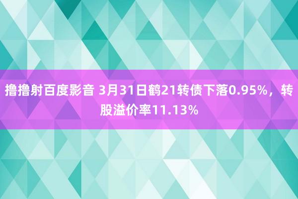 撸撸射百度影音 3月31日鹤21转债下落0.95%，转股溢价率11.13%