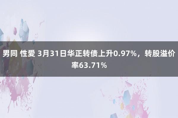 男同 性愛 3月31日华正转债上升0.97%，转股溢价率63.71%