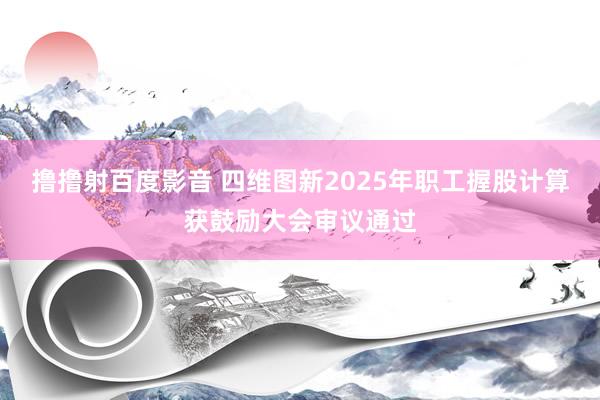 撸撸射百度影音 四维图新2025年职工握股计算获鼓励大会审议通过