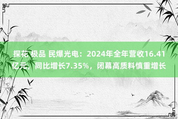 探花 极品 民爆光电：2024年全年营收16.41亿元，同比增长7.35%，闭幕高质料慎重增长
