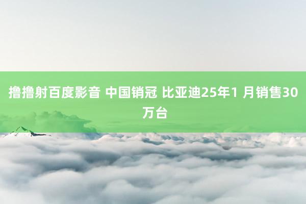 撸撸射百度影音 中国销冠 比亚迪25年1 月销售30 万台