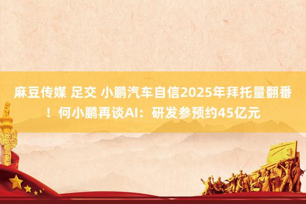 麻豆传媒 足交 小鹏汽车自信2025年拜托量翻番！何小鹏再谈AI：研发参预约45亿元