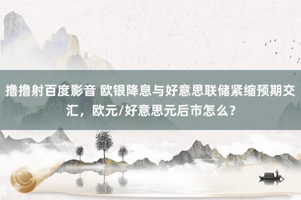 撸撸射百度影音 欧银降息与好意思联储紧缩预期交汇，欧元/好意思元后市怎么？