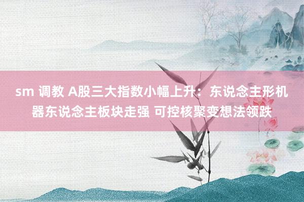sm 调教 A股三大指数小幅上升：东说念主形机器东说念主板块走强 可控核聚变想法领跌