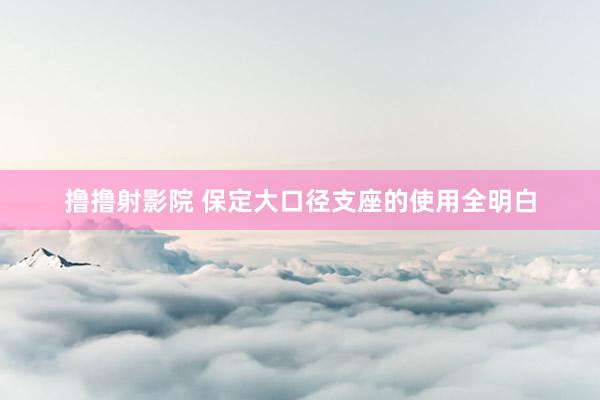 撸撸射影院 保定大口径支座的使用全明白