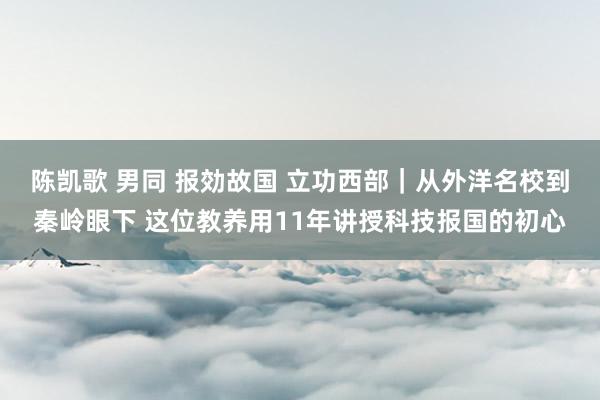 陈凯歌 男同 报効故国 立功西部｜从外洋名校到秦岭眼下 这位教养用11年讲授科技报国的初心
