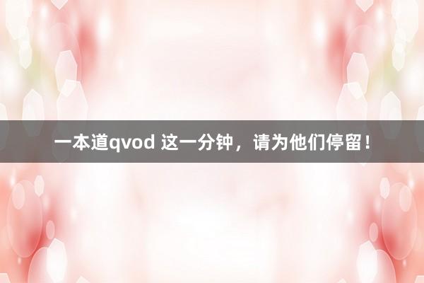 一本道qvod 这一分钟，请为他们停留！