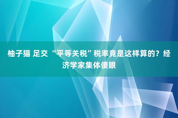 柚子猫 足交 “平等关税”税率竟是这样算的？经济学家集体傻眼