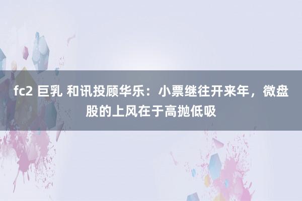 fc2 巨乳 和讯投顾华乐：小票继往开来年，微盘股的上风在于高抛低吸