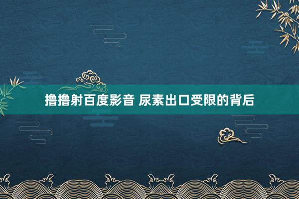 撸撸射百度影音 尿素出口受限的背后