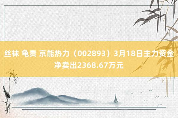 丝袜 龟责 京能热力（002893）3月18日主力资金净卖出2368.67万元