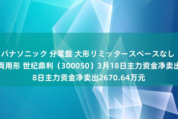 パナソニック 分電盤 大形リミッタースペースなし 露出・半埋込両用形 世纪鼎利（300050）3月18日主力资金净卖出2670.64万元