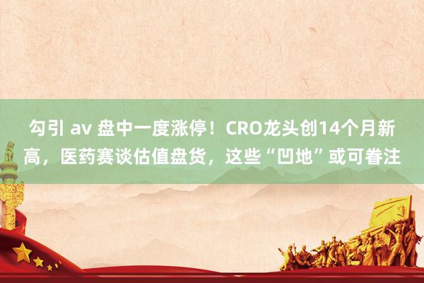 勾引 av 盘中一度涨停！CRO龙头创14个月新高，医药赛谈估值盘货，这些“凹地”或可眷注