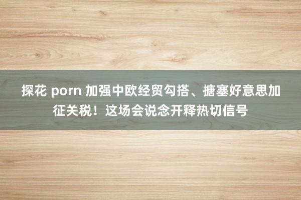 探花 porn 加强中欧经贸勾搭、搪塞好意思加征关税！这场会说念开释热切信号