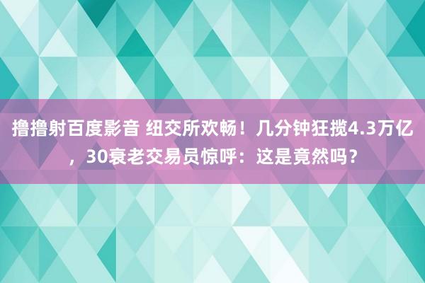 撸撸射百度影音 纽交所欢畅！几分钟狂揽4.3万亿，30衰老交易员惊呼：这是竟然吗？