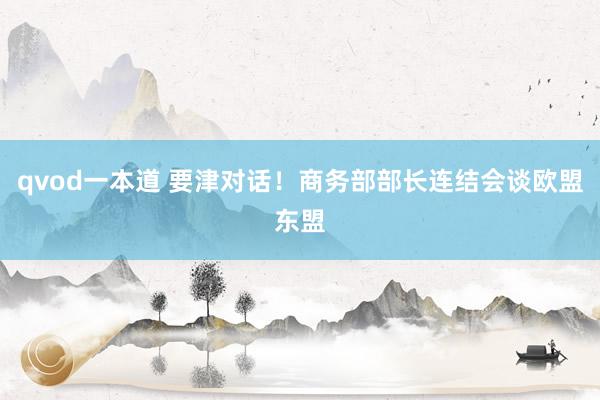 qvod一本道 要津对话！商务部部长连结会谈欧盟东盟