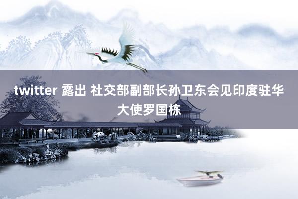 twitter 露出 社交部副部长孙卫东会见印度驻华大使罗国栋