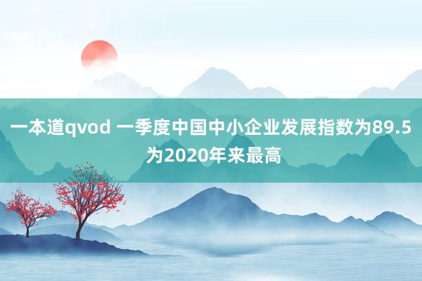 一本道qvod 一季度中国中小企业发展指数为89.5 为2020年来最高