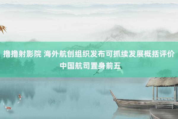 撸撸射影院 海外航创组织发布可抓续发展概括评价 中国航司置身前五