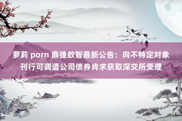萝莉 porn 鼎捷数智最新公告：向不特定对象刊行可调遣公司债券肯求获取深交所受理