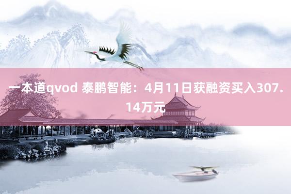 一本道qvod 泰鹏智能：4月11日获融资买入307.14万元