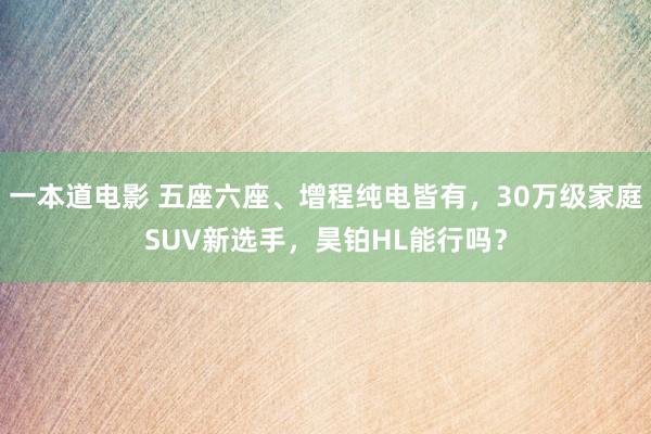 一本道电影 五座六座、增程纯电皆有，30万级家庭SUV新选手，昊铂HL能行吗？
