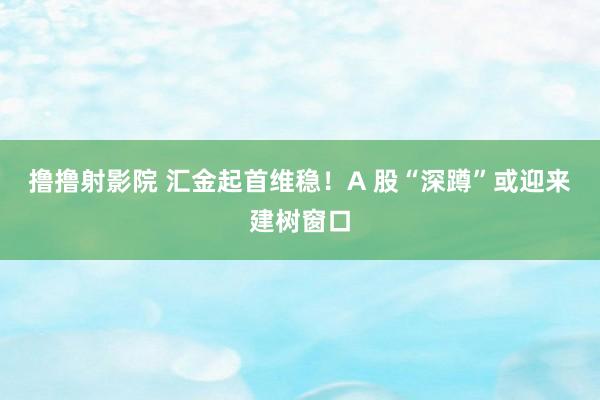 撸撸射影院 汇金起首维稳！A 股“深蹲”或迎来建树窗口