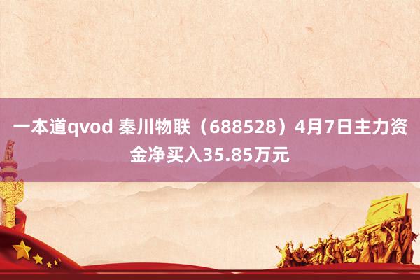 一本道qvod 秦川物联（688528）4月7日主力资金净买入35.85万元