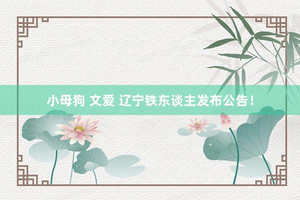 小母狗 文爱 辽宁铁东谈主发布公告！