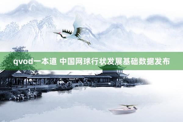 qvod一本道 中国网球行状发展基础数据发布