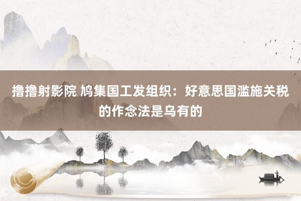 撸撸射影院 鸠集国工发组织：好意思国滥施关税的作念法是乌有的