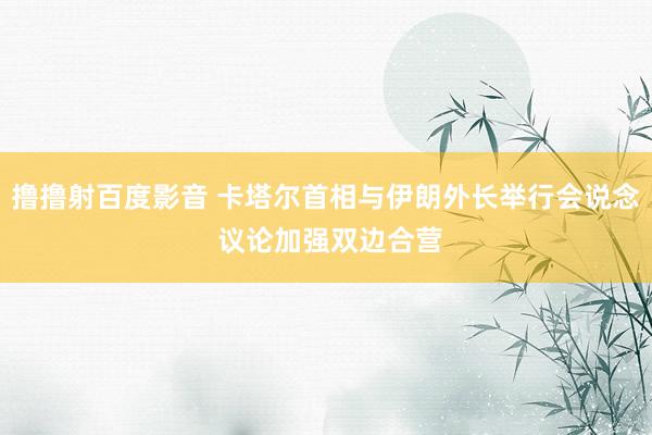撸撸射百度影音 卡塔尔首相与伊朗外长举行会说念 议论加强双边合营