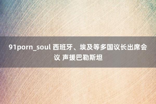 91porn_soul 西班牙、埃及等多国议长出席会议 声援巴勒斯坦