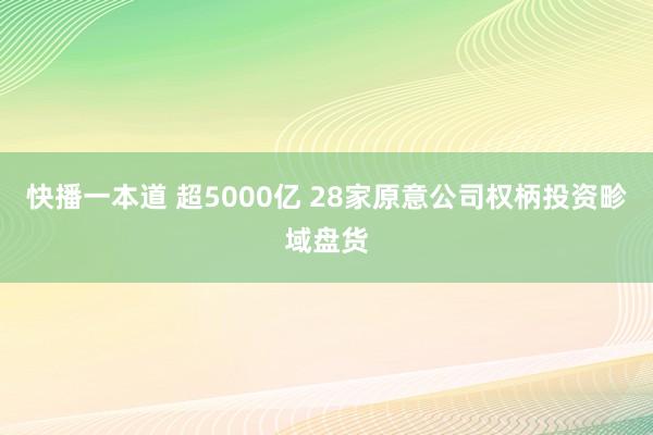 快播一本道 超5000亿 28家原意公司权柄投资畛域盘货