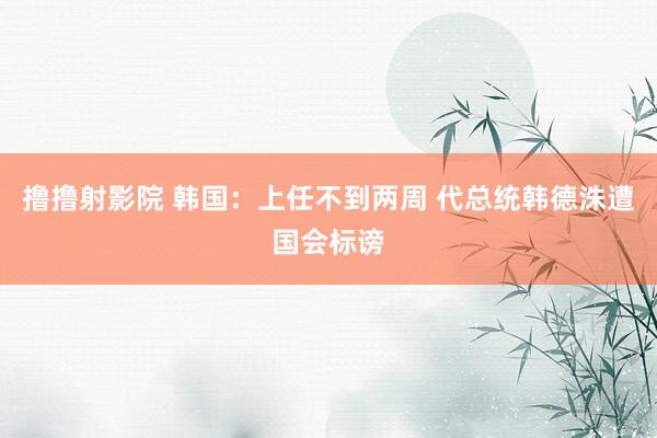 撸撸射影院 韩国:上任不到两周 代总统韩德洙遭国会标谤