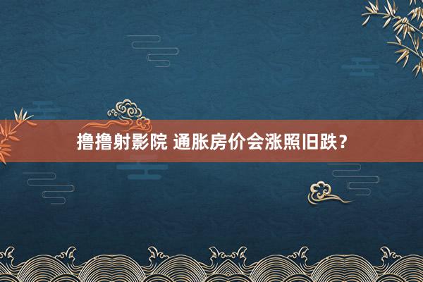 撸撸射影院 通胀房价会涨照旧跌？