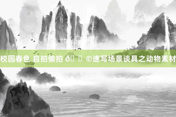 校园春色 自拍偷拍 🚩速写场景谈具之动物素材