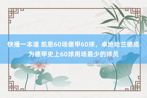 快播一本道 凯恩60场德甲60球，卓绝哈兰德成为德甲史上60球用场最少的球员