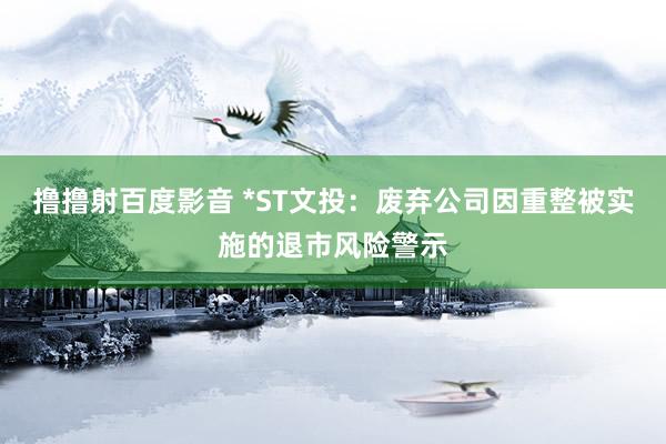 撸撸射百度影音 *ST文投：废弃公司因重整被实施的退市风险警示