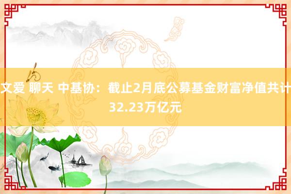 文爱 聊天 中基协：截止2月底公募基金财富净值共计32.23万亿元