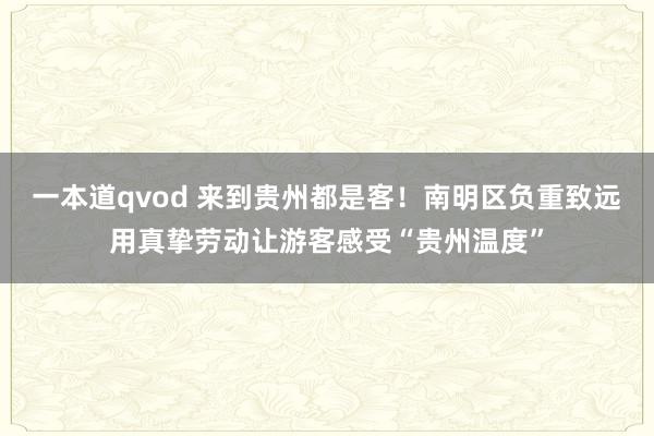 一本道qvod 来到贵州都是客！南明区负重致远用真挚劳动让游客感受“贵州温度”